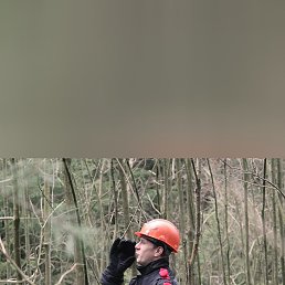 ����, �����, 31 ���