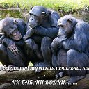 ���� �����, ������ - ��������� 10 ���� 2026 � ������ ������Ż