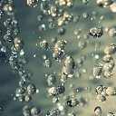 ���� ����, ��������, 49 ��� - ��������� 27 �������� 2025 � ������ ���� ����������