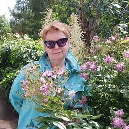 ������, �����������