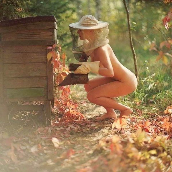   - 8  2025  18:43 - 8