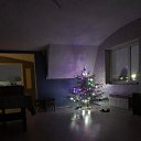 ���� ���������, �����������, 43 ���� - ��������� 31 ������� 2025