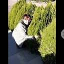 ���� ���������, ������, 56 ��� - ��������� 8 ��� 2026