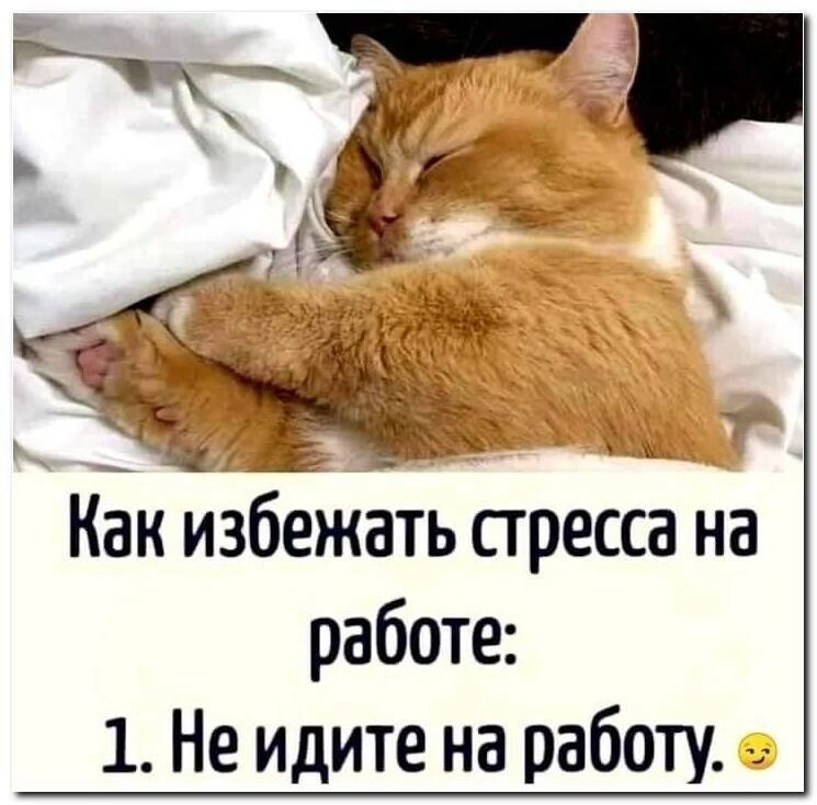***Victoria Viktorovna*** - 30  2025  06:22