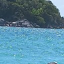 ���� ���������, ������������, 45 ��� - ��������� 24 ������� 2026 � ������ ���� ����������