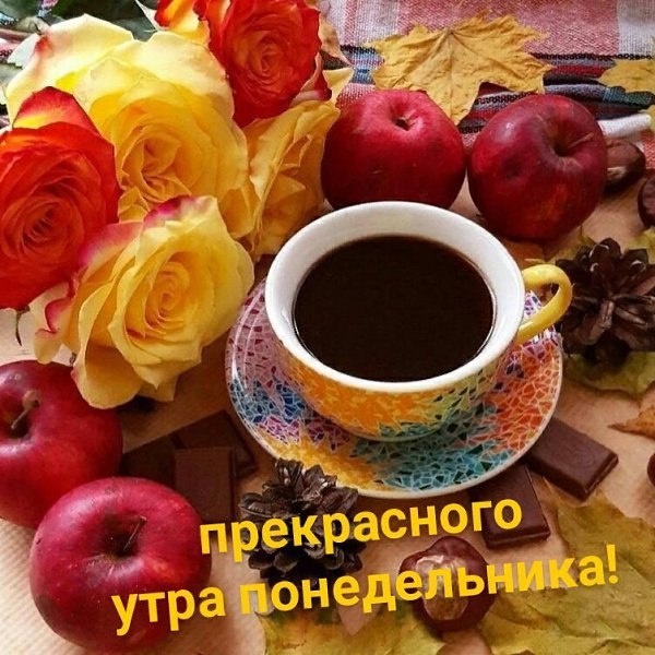  - 28  2025  07:11