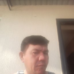 , 48, 