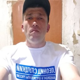 , 37, 