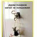 ���� �����, �����-���������, 61 ��� - ��������� 21 �������� 2025 � ������ �������