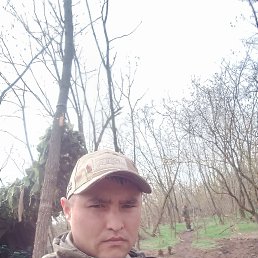, 30, 