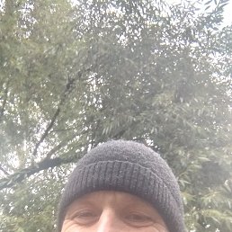 ������, 54 ����, ������