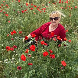 (((ALLOCHKA))), 62, 