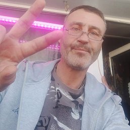 , 50, -