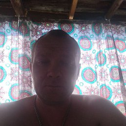 ��������, ������, 41 ���