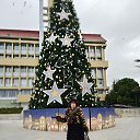 ���� ������, ������, 55 ��� - ��������� 14 ������ 2026 � ������ ���� ����������