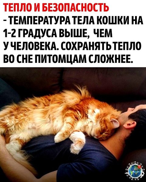 epee  e co co! - 3