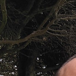 ������, ������, 49 ���