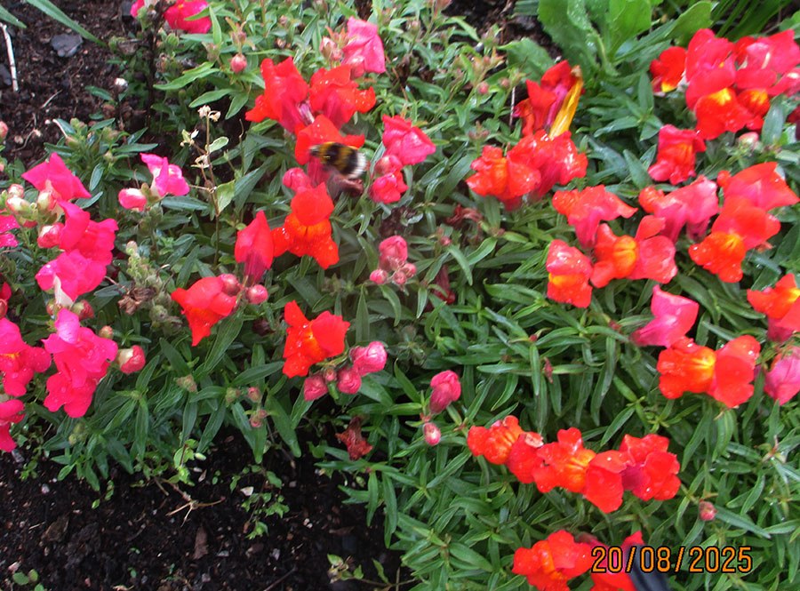    .    . . ,   ... - 3