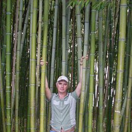 �������, 63 ����, �����