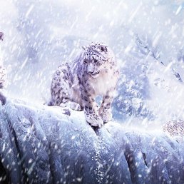 ���� �������, ���������, 51 ��� - ��������� 30 ������� 2023