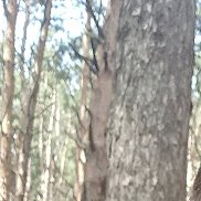 , 54 , -