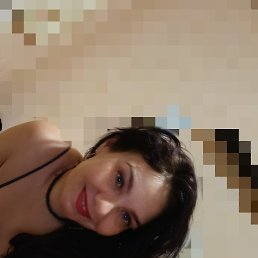 ���� �������, �����-���������, 43 ���� - ��������� 14 ������ 2026