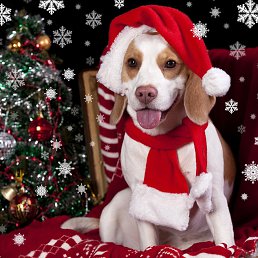 ���� ����, ������������, 24 ���� - ��������� 13 ���� 2025