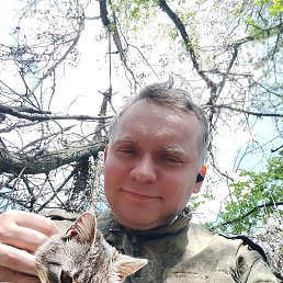 ���� ����, �������, 50 ��� - ��������� 8 ������� 2026