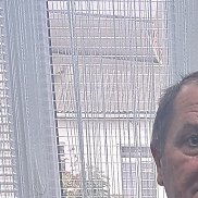 ����, 62 ����, ����