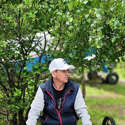 ����., ��������