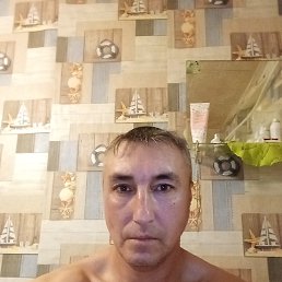 , 41 , 