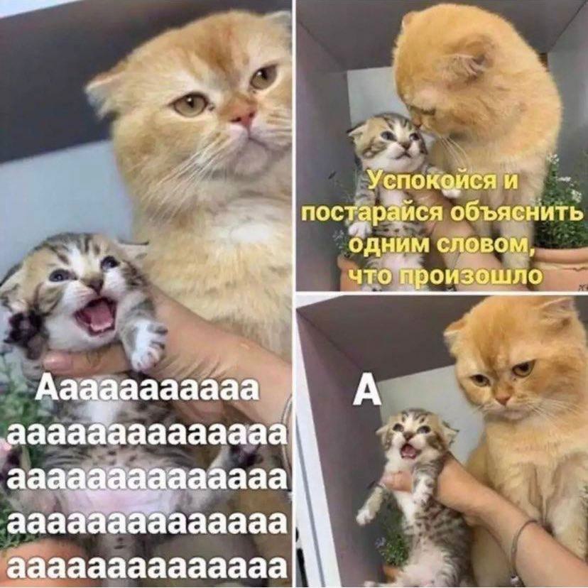 ��� �������� �������� - 26 ������� 2024 � 21:33