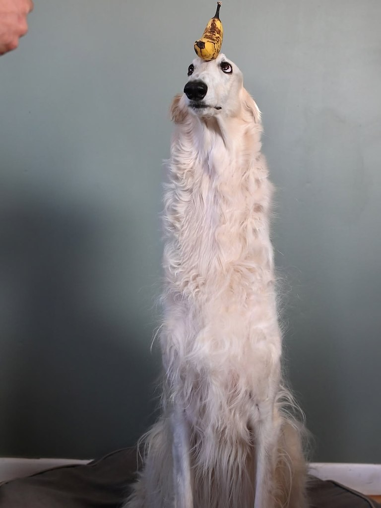  .   ,  -  .  .     . - 5