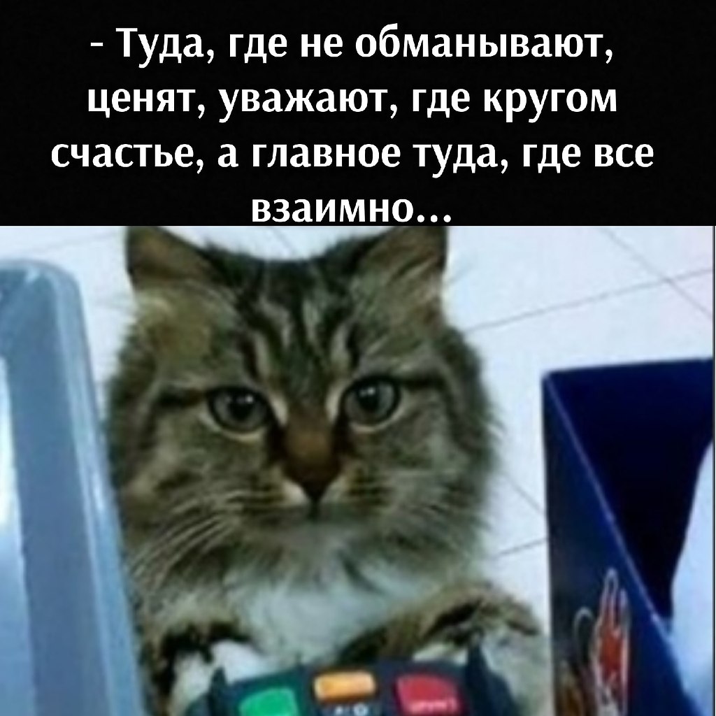 ��� ���� � ����� �� �� - 17 ����� 2026 � 12:30 - 3
