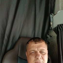 , 41, 