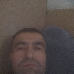  , 44, 