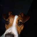 ���� ������, �������������-����������, 51 ��� - ��������� 24 ������ 2023 � ������ ���� ����������