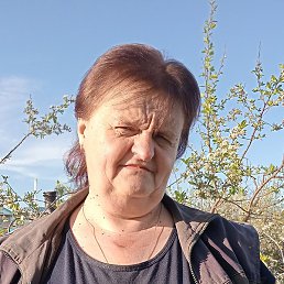 , , 55 
