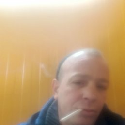 ��������, 37 ���, �����