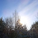  ,  -  17  2025     2024 .