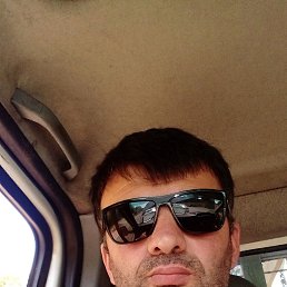 ������, 44 ����, �������