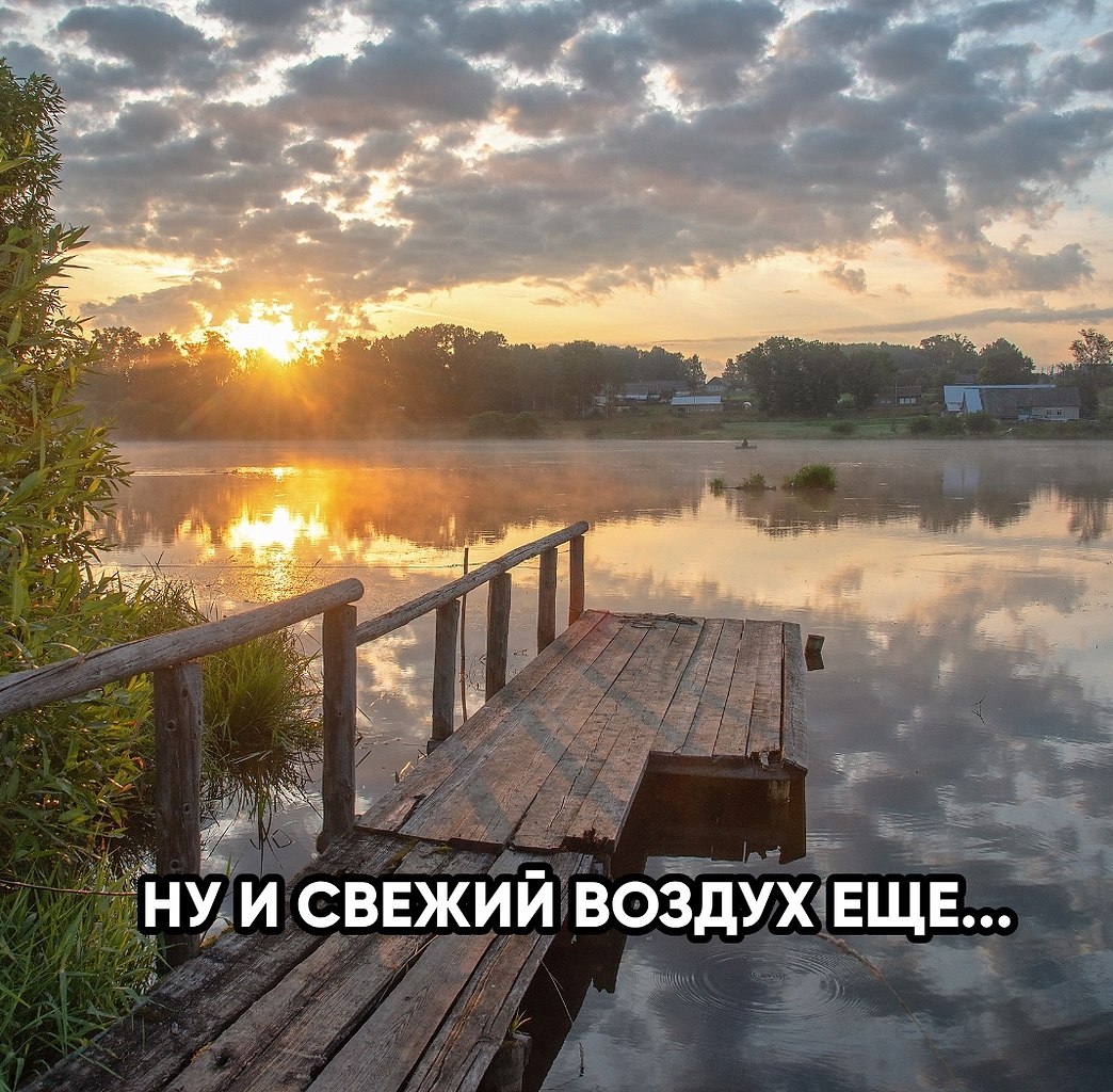          ,      .  ... - 9