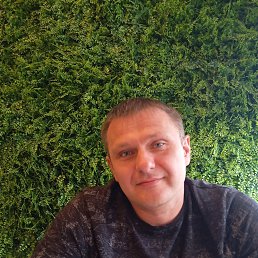 , 43, 