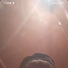 ����, �����-���������, 38 ���