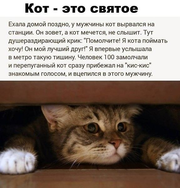 �������� ������ - 27 ������ 2023 � 23:08