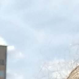 ��������, �����������, 51 ���