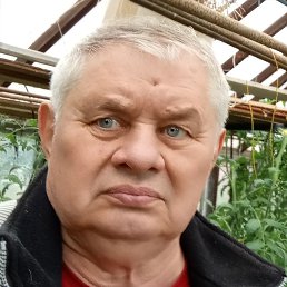 ����������, ������������, 71 ���