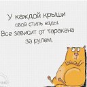 ���� �����, ����, 45 ��� - ��������� 2 ������� 2024 � ������ ���� ����������