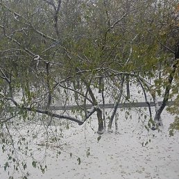 �����, ������, 38 ���