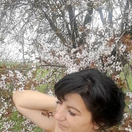 , 45, --